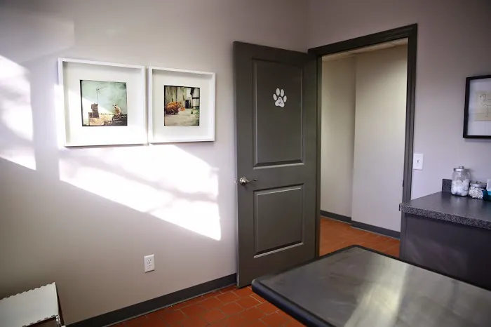 ValueCare Veterinary Clinic Picture 1