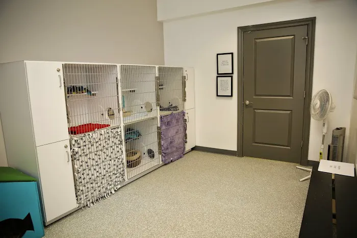 ValueCare Veterinary Clinic Picture 8