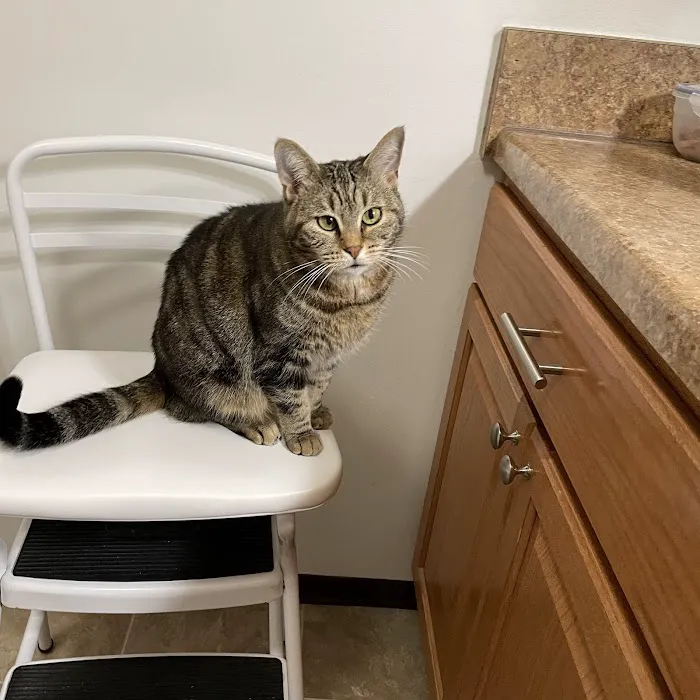 ValueCare Veterinary Clinic Picture 3