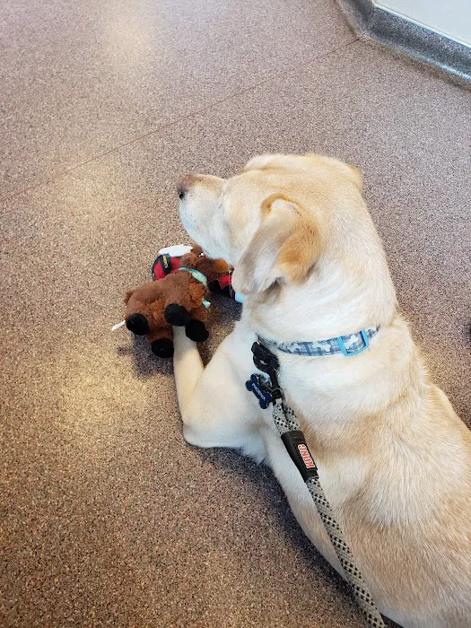 Companion Animal Hospital Picture 9