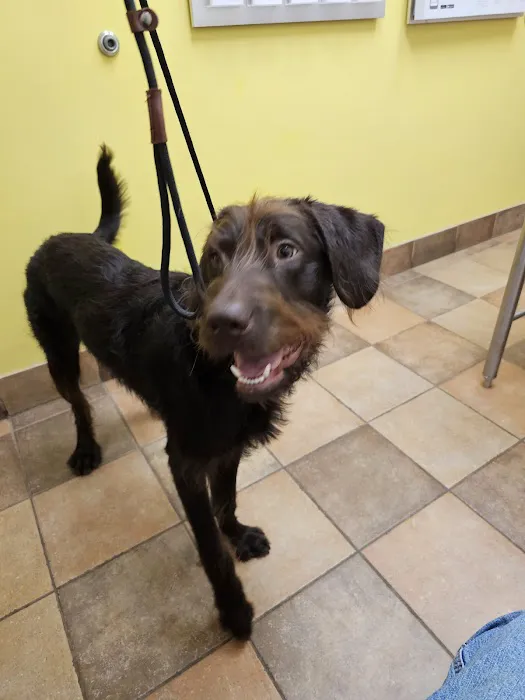 Banfield Pet Hospital Picture 2