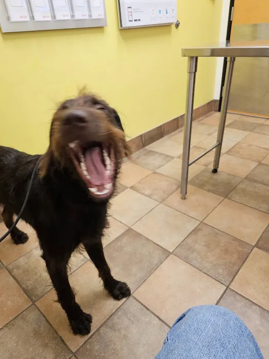 Banfield Pet Hospital Picture 1