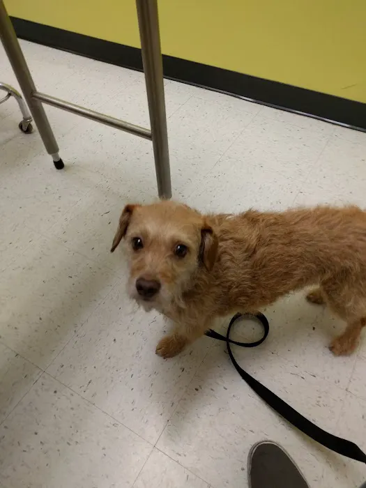 Banfield Pet Hospital Picture 3