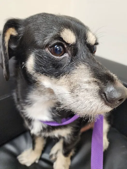 Cornell Road Veterinary Clinic Picture 5