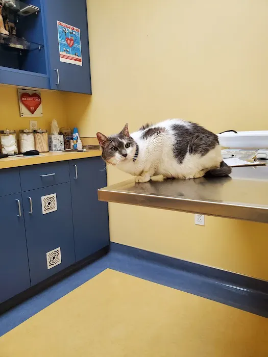 Cornell Road Veterinary Clinic Picture 3