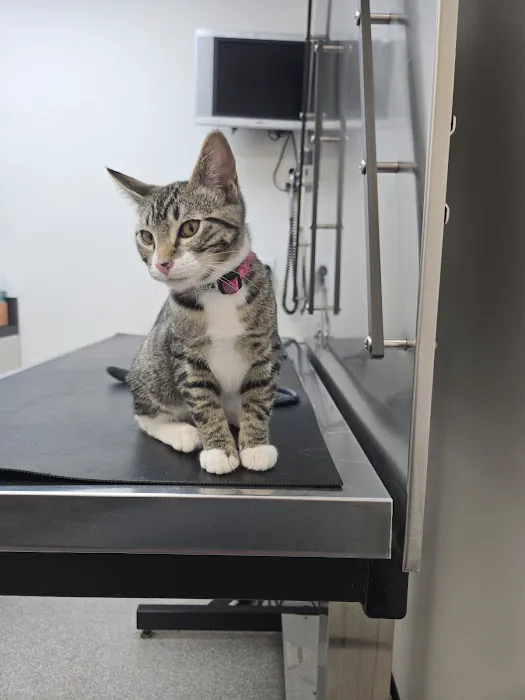 Cornell Road Veterinary Clinic Picture 9