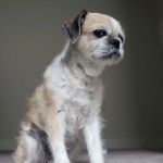 Cornell Road Veterinary Clinic