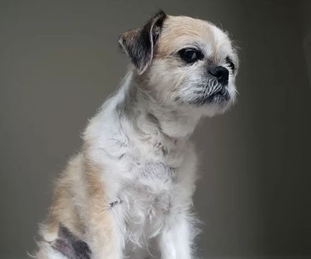 Cornell Road Veterinary Clinic