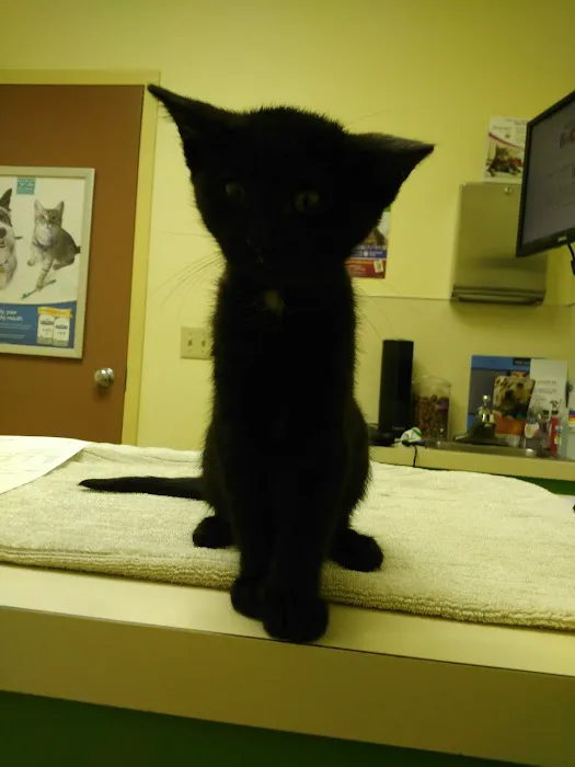 Hillsboro Veterinary Clinic Picture 5