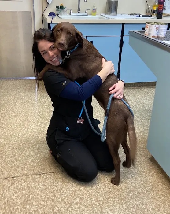 Hillsboro Veterinary Clinic Picture 2