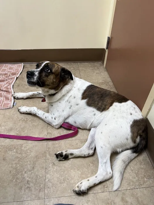 Hillsboro Veterinary Clinic Picture 1