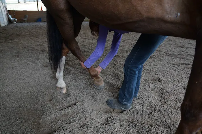 Stretch Your Horse Picture 1