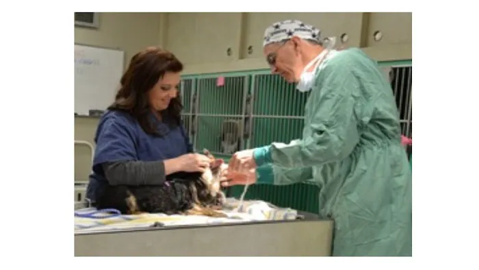 Canby Veterinary Clinic Inc Picture 3