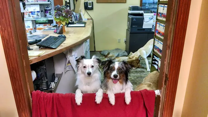 Birch Street Animal Clinic Picture 5