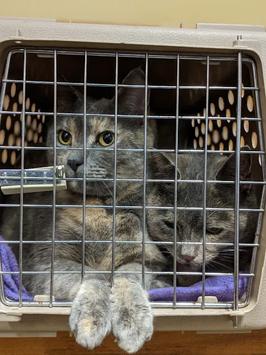 Birch Street Animal Clinic Picture 3