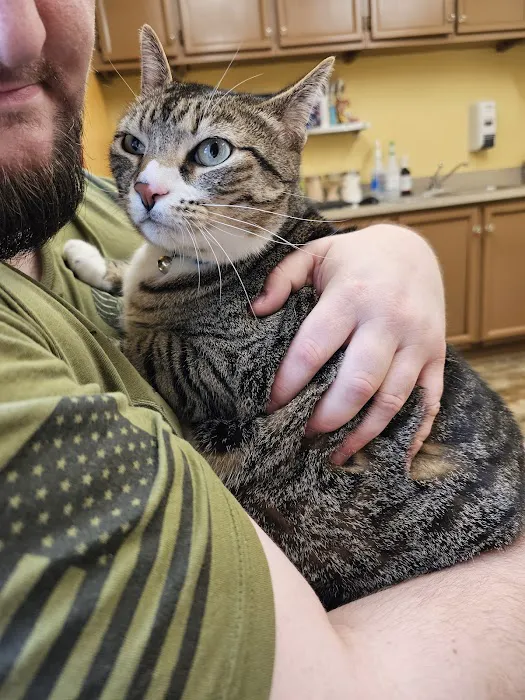 Birch Street Animal Clinic Picture 7