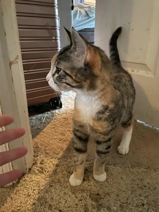 Birch Street Animal Clinic Picture 2