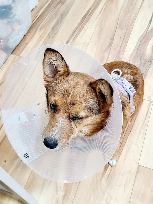 Hope Animal Hospital Picture 1