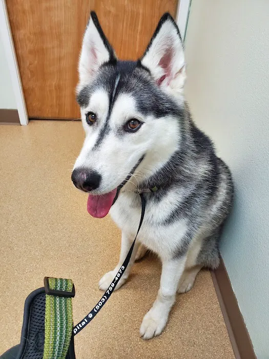Hope Animal Hospital Picture 8
