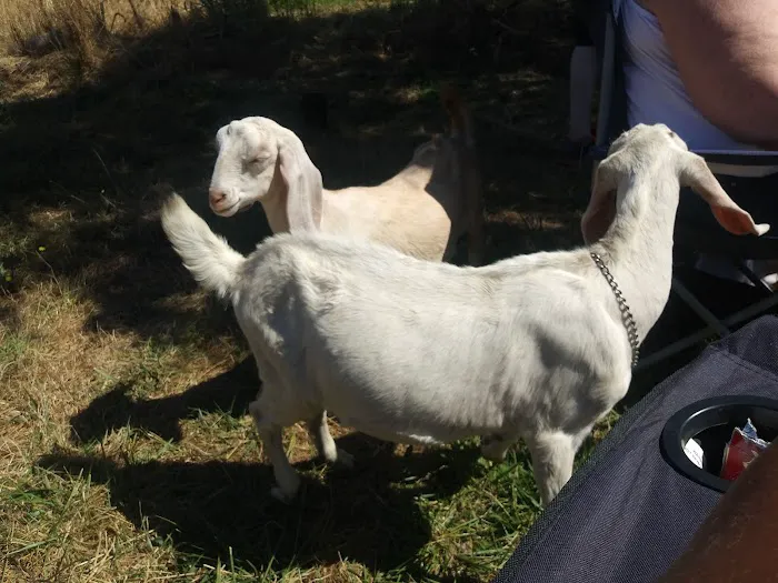 Hope Animal Hospital Picture 10