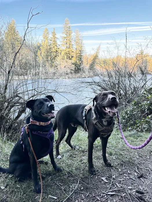 Molalla River Veterinary Center Picture 8