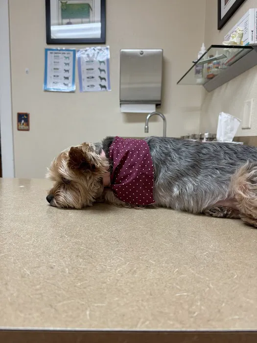 Alder Creek Veterinary Clinic Picture 7