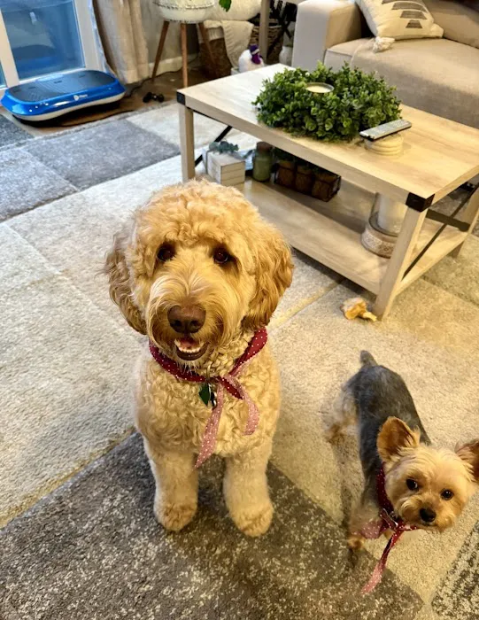 Alder Creek Veterinary Clinic Picture 8
