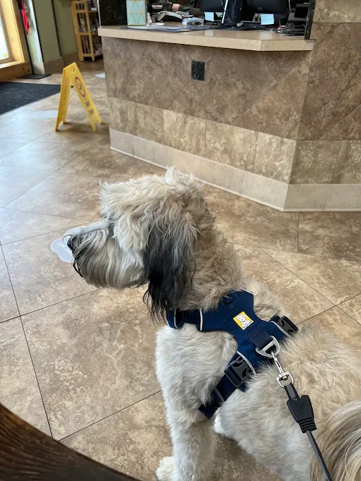 Alder Creek Veterinary Clinic Picture 10