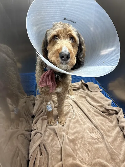 Alder Creek Veterinary Clinic Picture 5