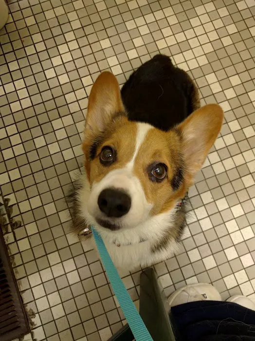 Columbia Veterinary Clinic Picture 3