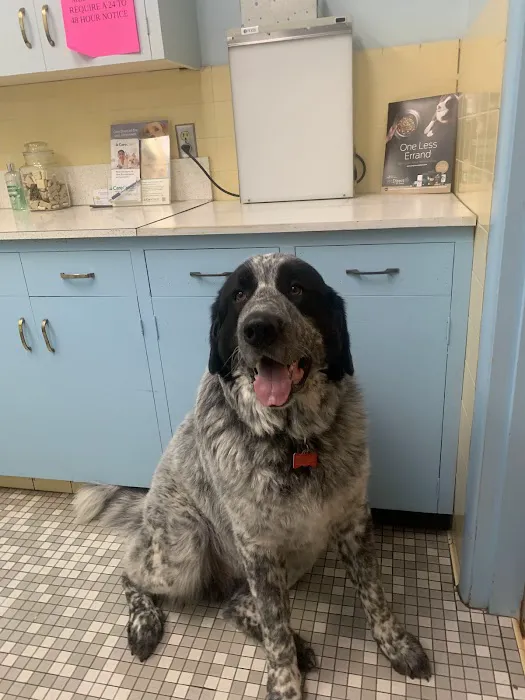 Columbia Veterinary Clinic Picture 1