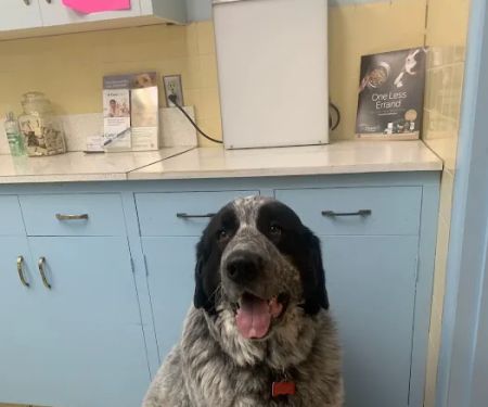 Columbia Veterinary Clinic