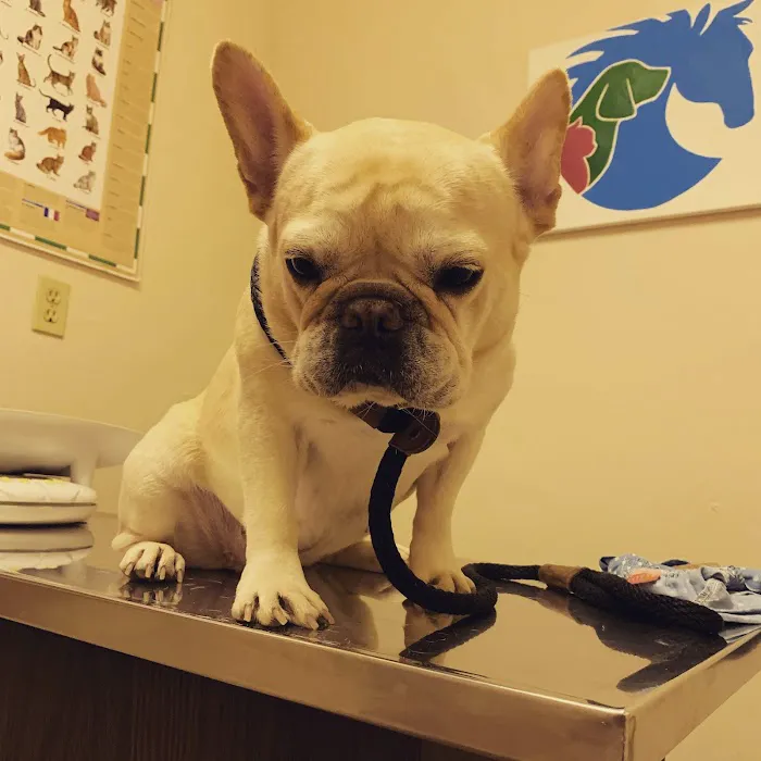 Columbia Veterinary Clinic Picture 6