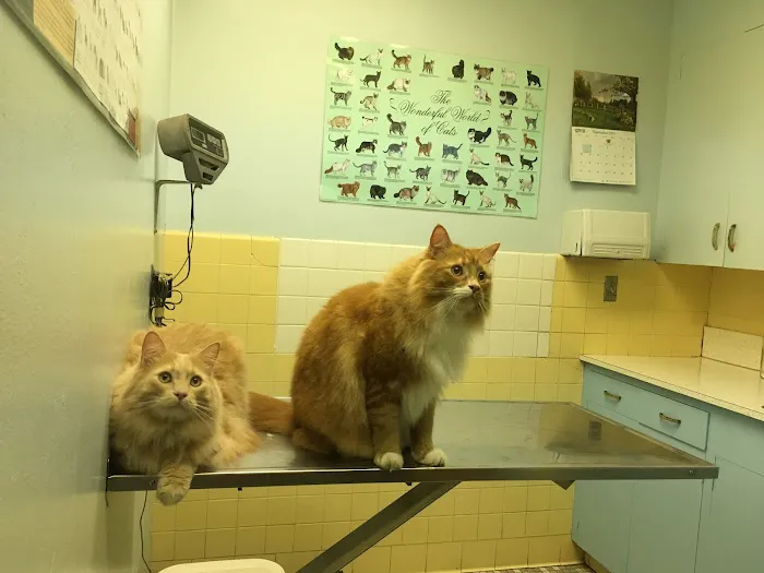 Columbia Veterinary Clinic Picture 2