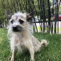 Barlow Trail Veterinary Clinic ico