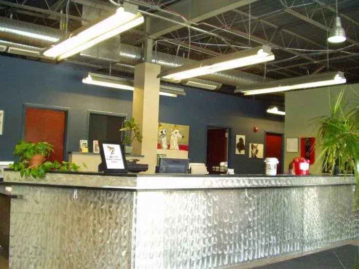 VCA Dakota Ridge Animal Hospital Picture 4