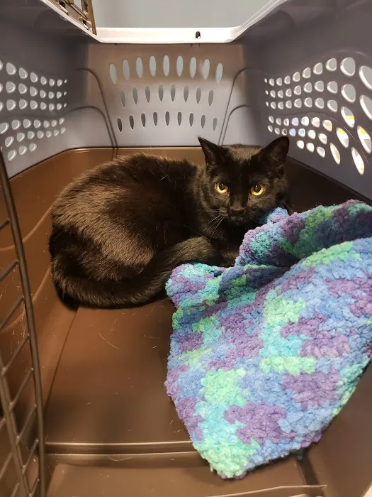VCA Dakota Ridge Animal Hospital Picture 8