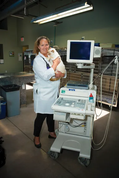 VCA Dakota Ridge Animal Hospital Picture 5