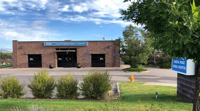 VCA Dakota Ridge Animal Hospital Picture 10