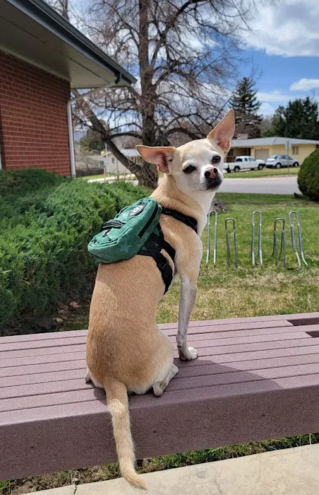 Columbine Animal Hospital Picture 9