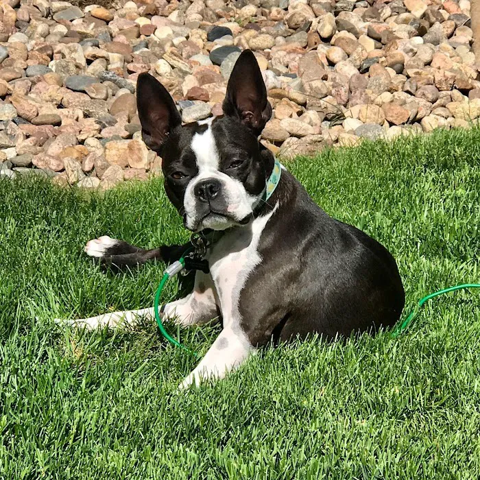 Columbine Animal Hospital Picture 7