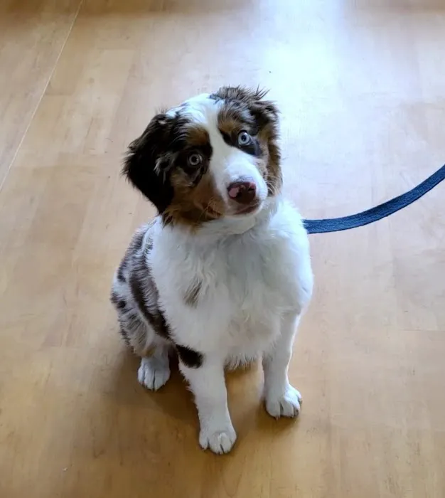 Columbine Animal Hospital Picture 4