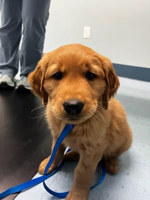 Columbine Animal Hospital Picture 3
