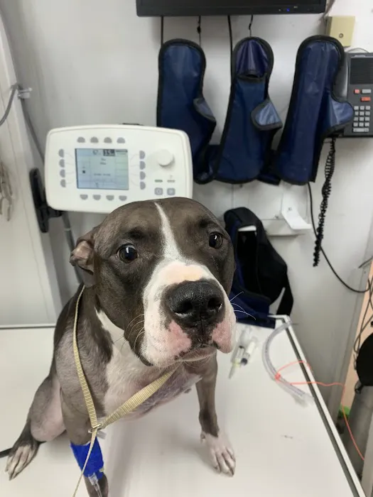 Columbine Animal Hospital Picture 5