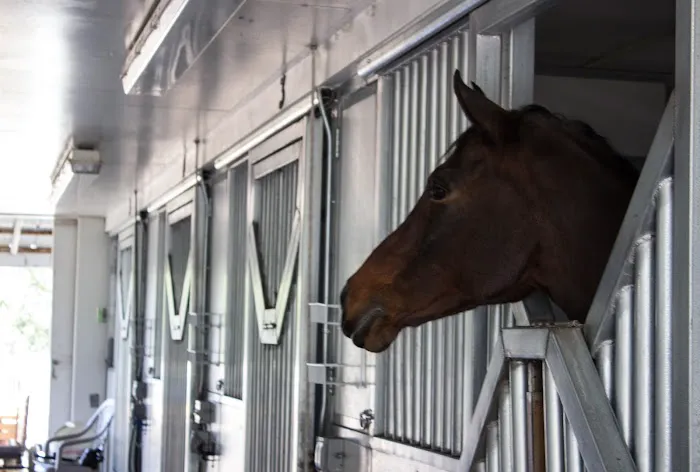Littleton Equine Medical Center Picture 5