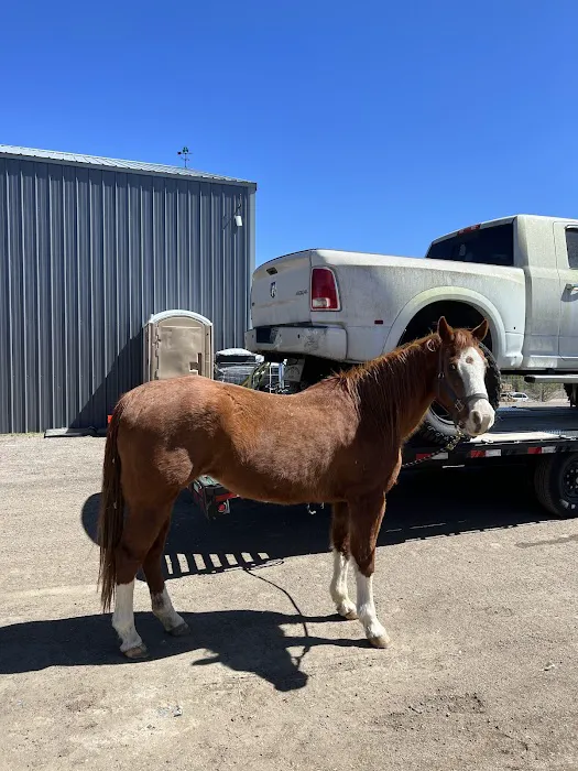 Littleton Equine Medical Center Picture 6