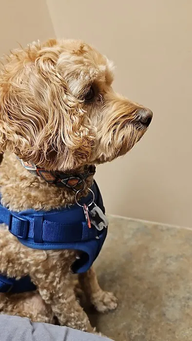 SouthPark Animal Clinic Picture 3