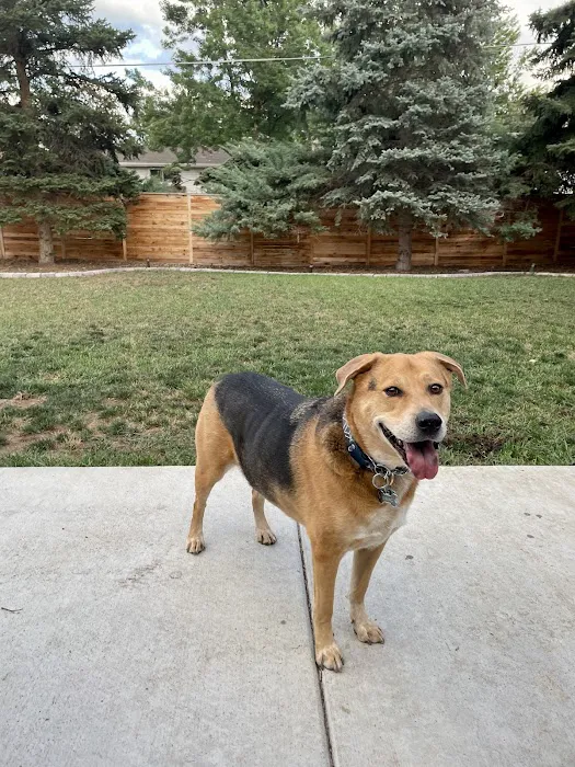 Chatfield Veterinary Hospital Picture 8