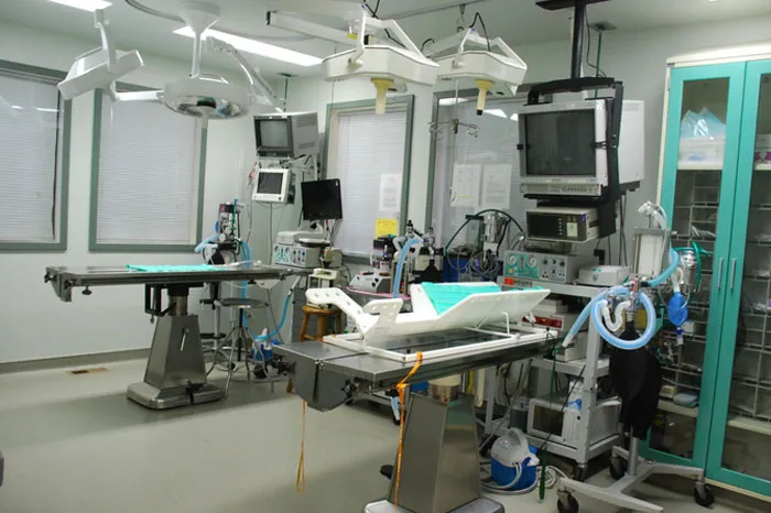 VCA Deer Creek Animal Hospital Picture 4
