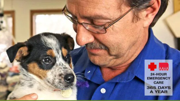 VCA Deer Creek Animal Hospital Picture 1